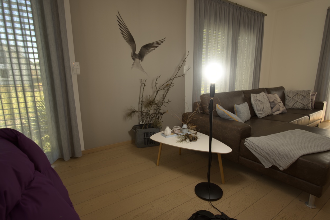 Scene 115 FLUX.2 Dev RGB prediction
